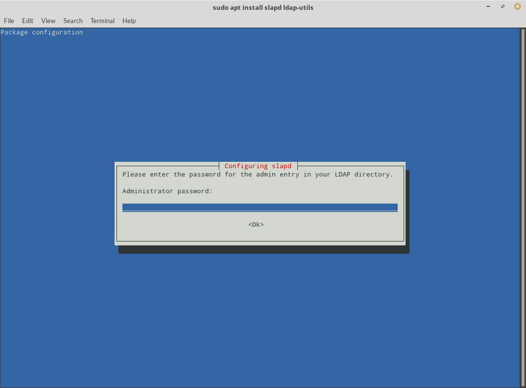 Install OpenLDAP Server - Enter Password