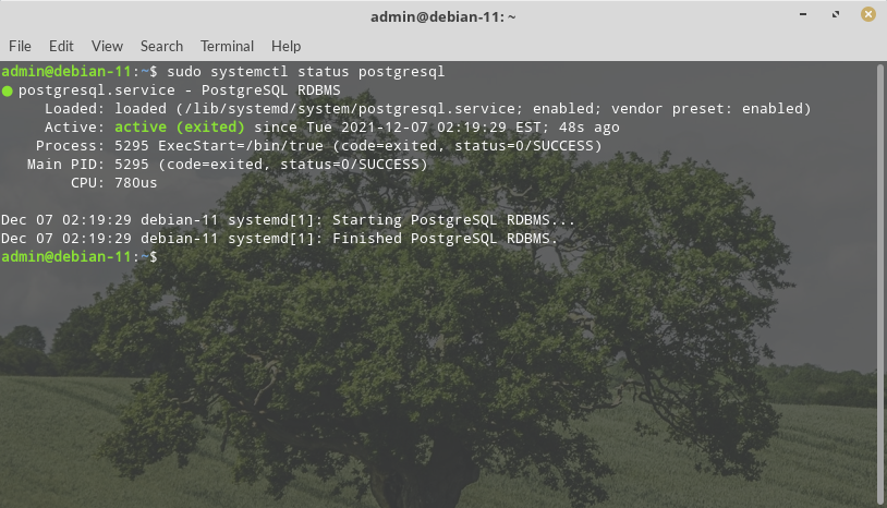 PostgreSQL 14 - Debian 11 Installation