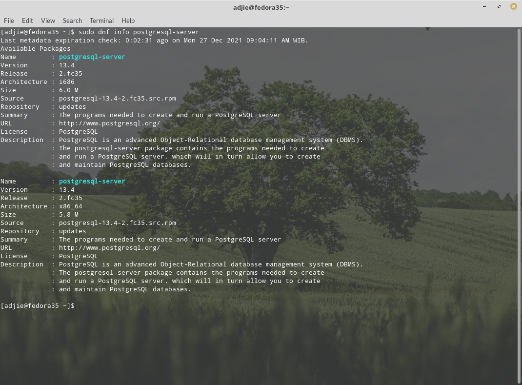 how-to-install-postgresql-14-on-fedora-35-server-r00t4bl3