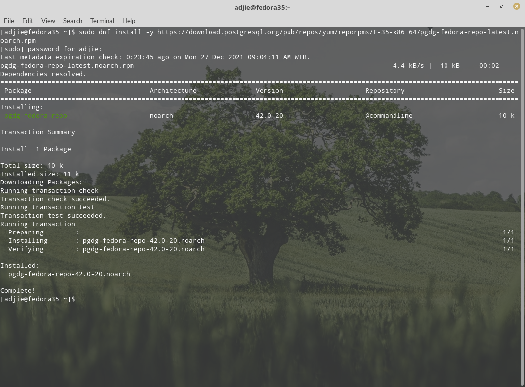 PostgreSQL 14 - Fedora 35 Installation