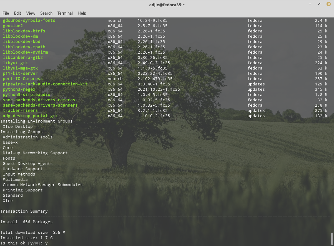 XFCE Installation