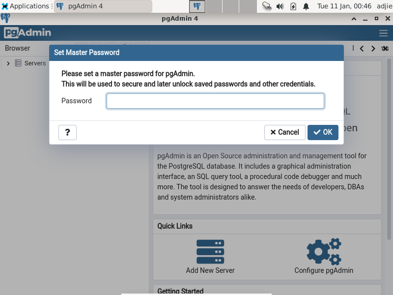 pgAdmin4 Set Master Password