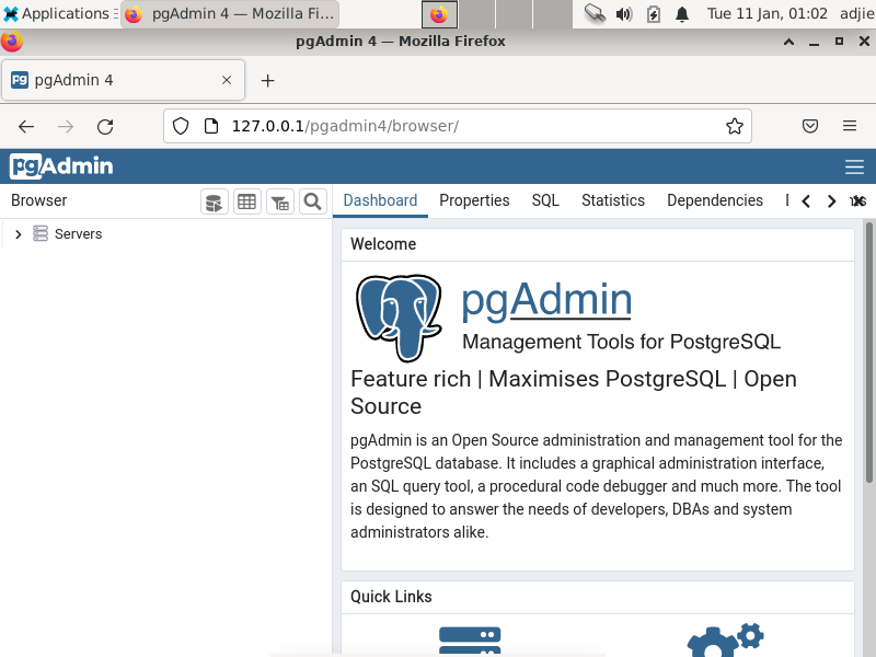 pgAdmin Web Interface