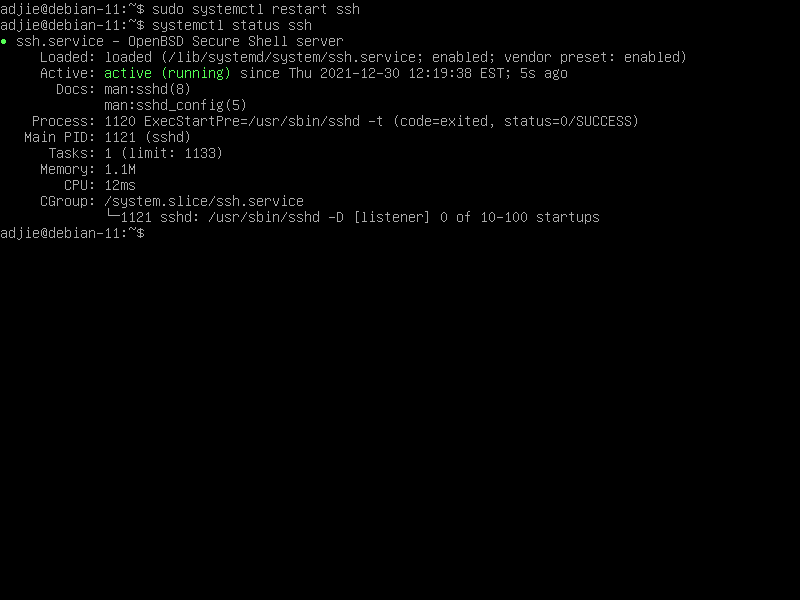 OpenSSH Running Fine