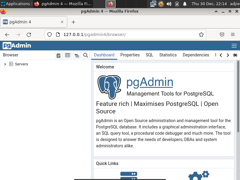 pgAdmin Web Interface