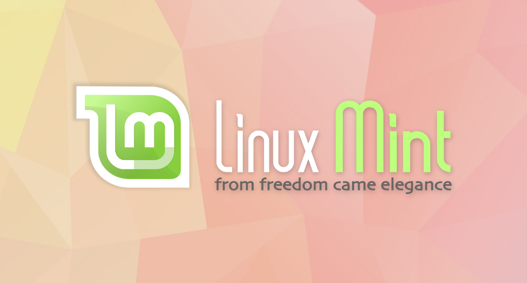 How to Automount A Drive or Partition at Boot in Linux Mint 